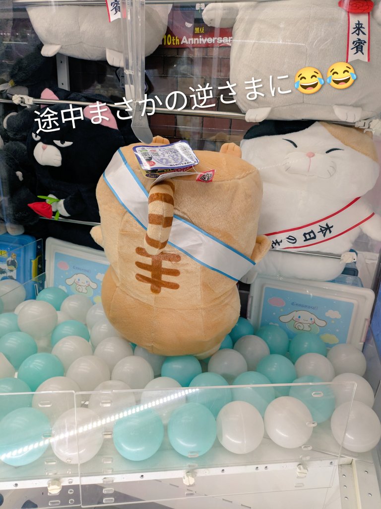 水まんじゅうにゃんこチャーム 水まんじゅうにゃんこチャーム