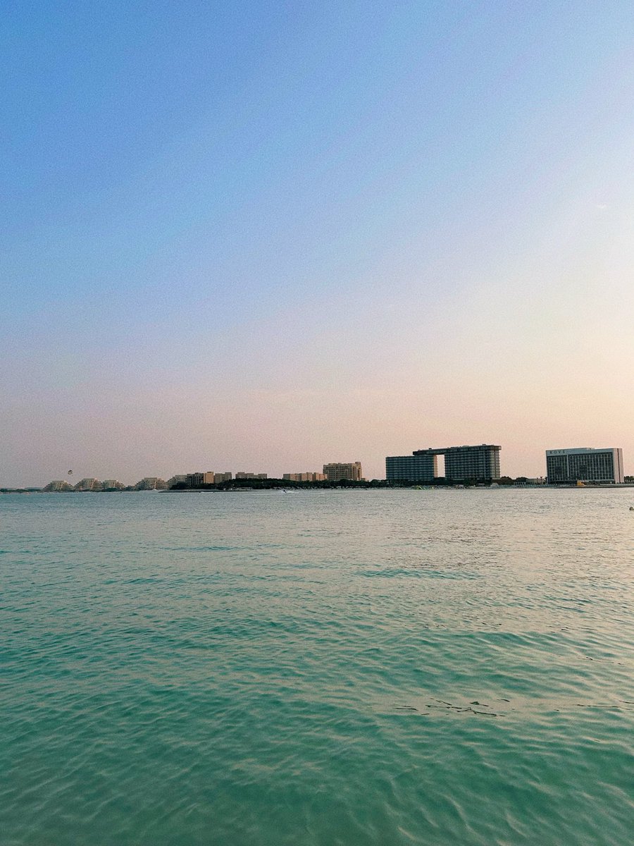 BLYAH.Canary tweet media