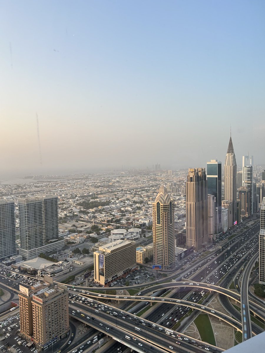 BLYAH.Canary tweet media