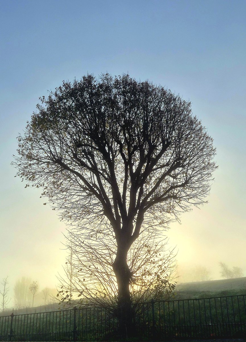 lovely_plot's tweet image. Morning from foggy Plymouth 🥰