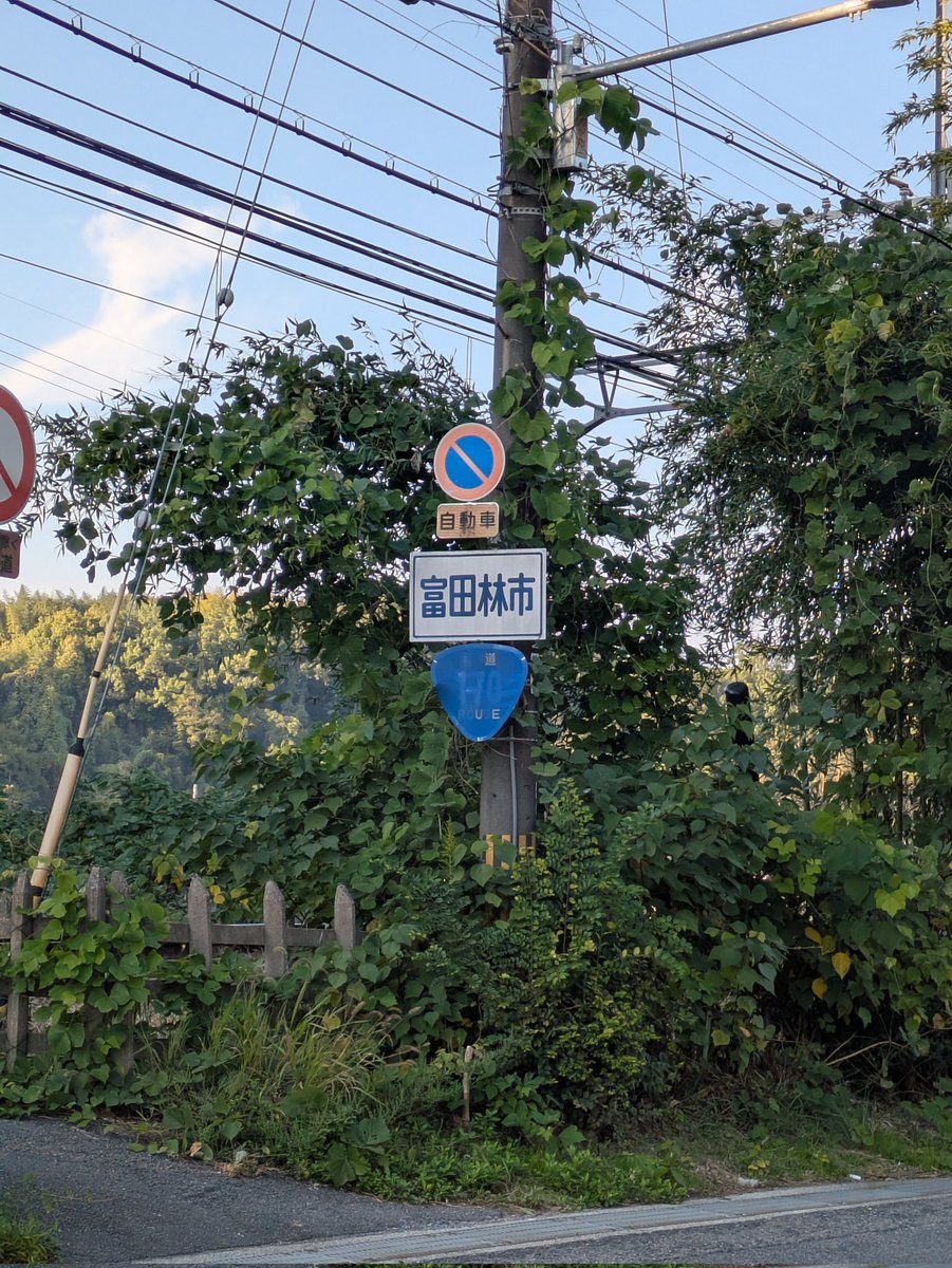 別に撮り鉄ではないけど、線路沿いを歩いてたらたまたま電車が通過したので撮りました🚇️
近くに廃墟みたいなラブホがあり、ゴミが散乱する一見治安が悪そうな感じのする市の名前は富田林市です😆