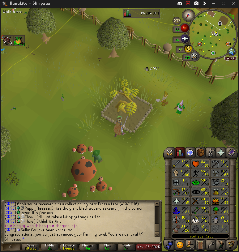 Glimpses tweet media