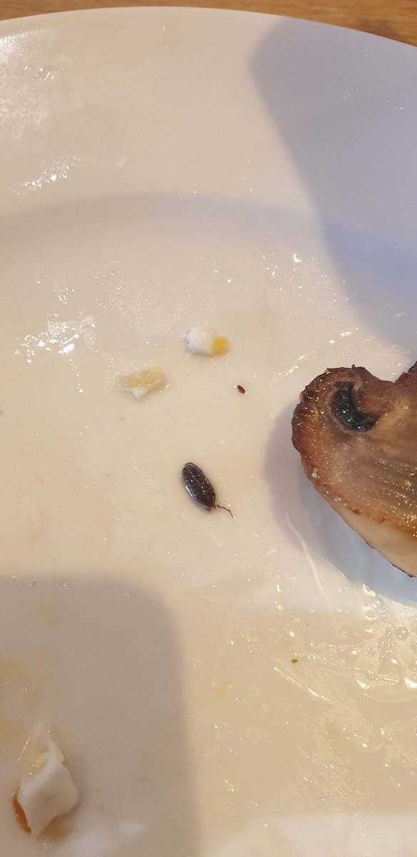 aparr666's tweet photo. Extra protein &amp; crunch in the breakfast at @premierinn Swansea North 🤢🤮 https://t.co/nRL2qyFJI4