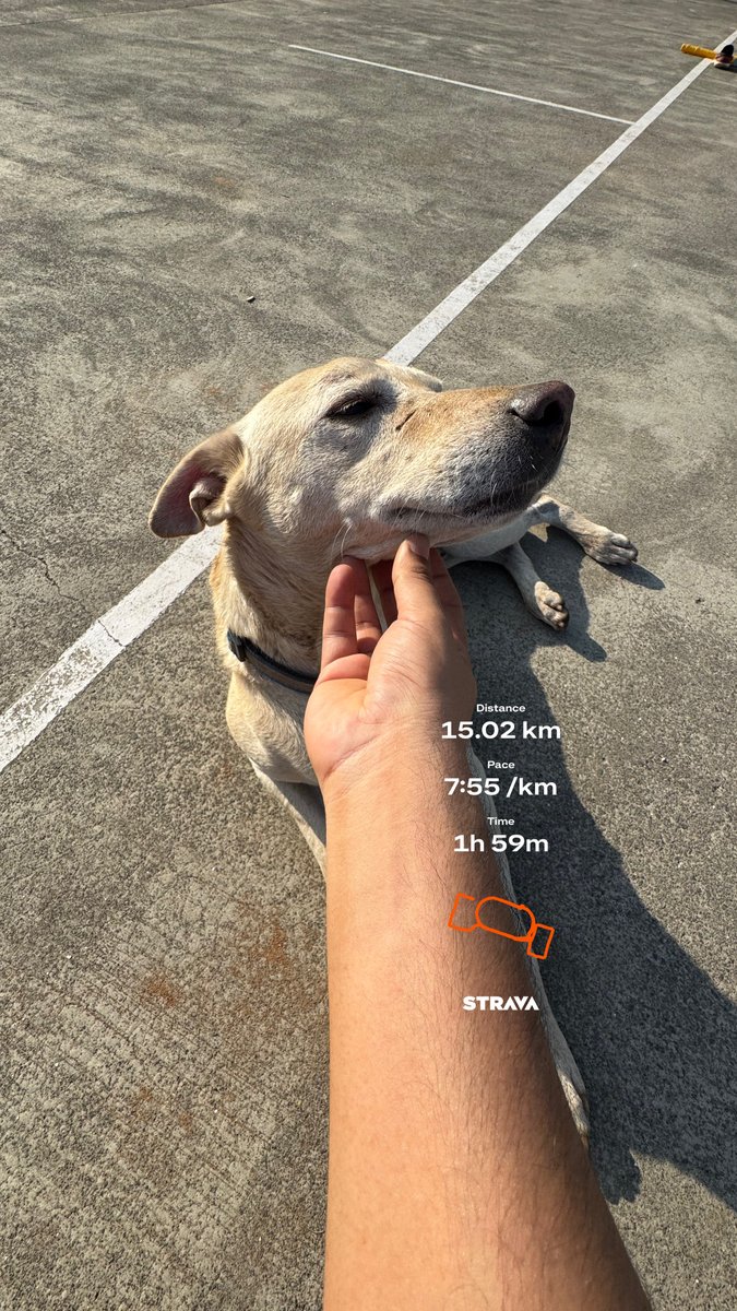 i missed this, but someone pointed out the icon should have been of resting and not otherwise <a href="/Garmin/">Garmin</a> (do something about it?)