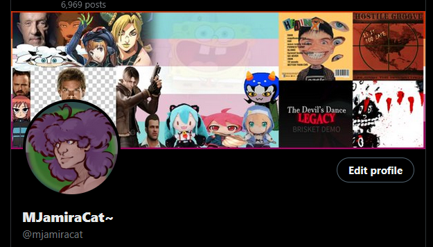 MJamiraCat~ tweet media