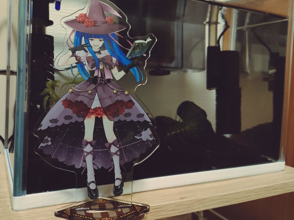 うみねこのポップアップショップ

売り切れ結構あったけど、エリカのアクスタ残っててよかった