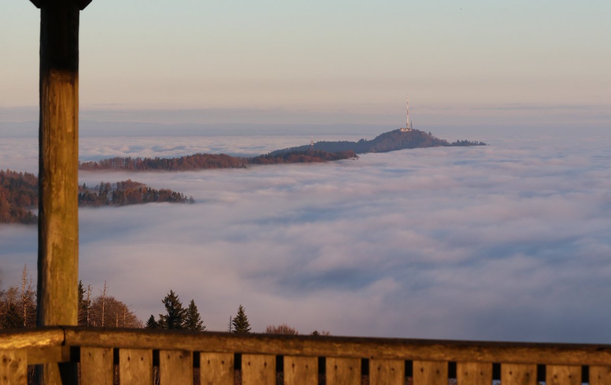Wieder ein ganz prächtiger Morgen! #Novembernebel #Albis