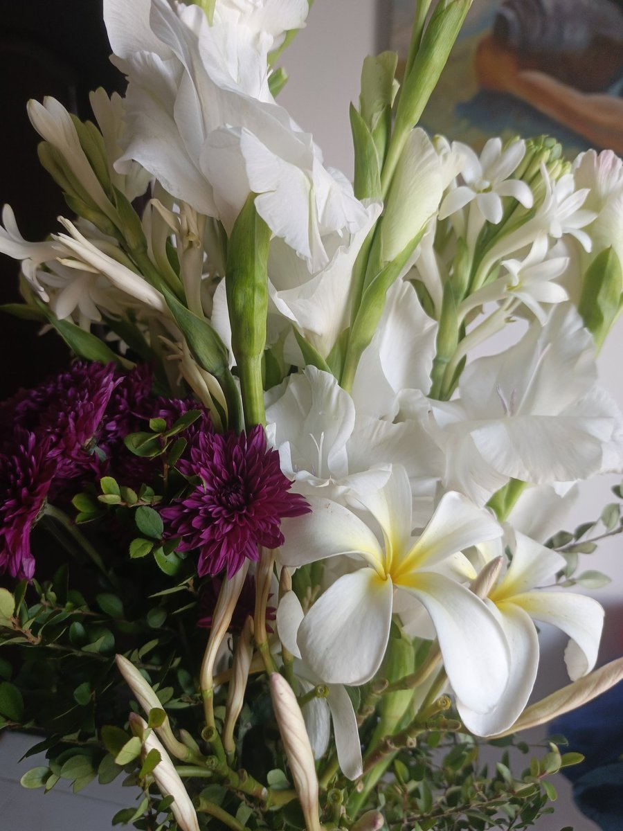 musccasattar's tweet photo. Woke up to these. https://t.co/QjgBGyB7Fk