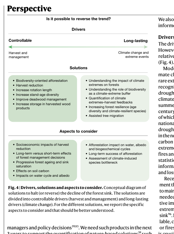 Il est tout à fait possible d’atténuer (voire d’inverser ?) la tendance au déclin du puits de carbone forestier, à condition d’agir simultanément sur les leviers contrôlables (gestion, exploitation, diversité des âges et des essences, reboisement orienté biodiversité) et de mieux