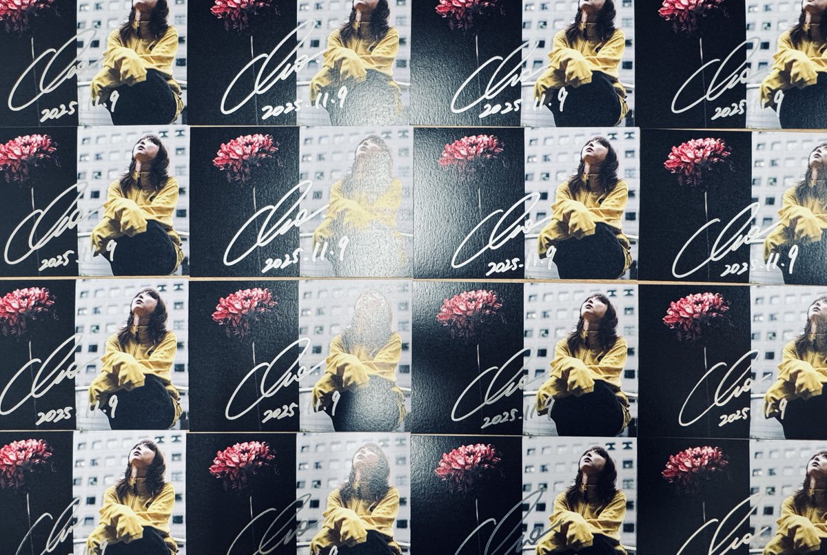 家入レオ 直筆サイン入りピック 家入レオ 直筆サイン入りピック