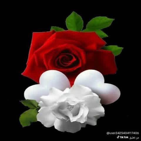 🍃
🍃🍃

ليس للحب عمر او زمن 

الحب هو وفاء رجل
واكتفاء انثى …