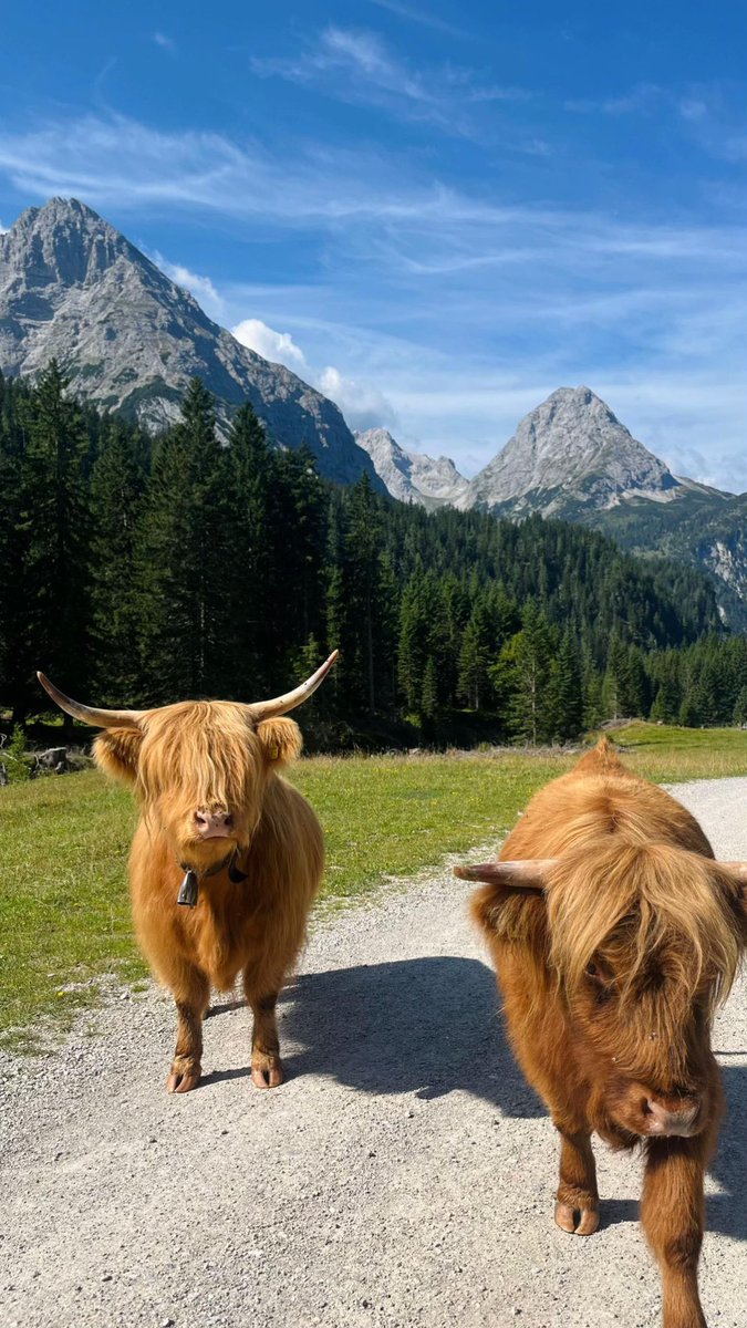 رحال (@ra77ai) on Twitter photo 