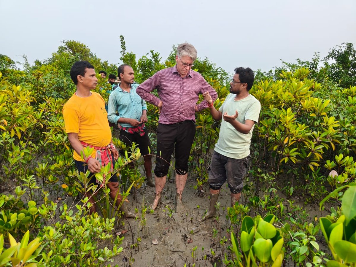 Australian Plant Scientists Kevin and Susan had a quick visit to our <a href="/DBTIndia/">Department of Biotechnology</a> funded ongoing mangrove restoration sites in Sundarbans, amazed to see this kind of unique initiative of Govt. of India with <a href="/ForestDeptWB/">West Bengal Forest Department</a>  .....lots interactions with students