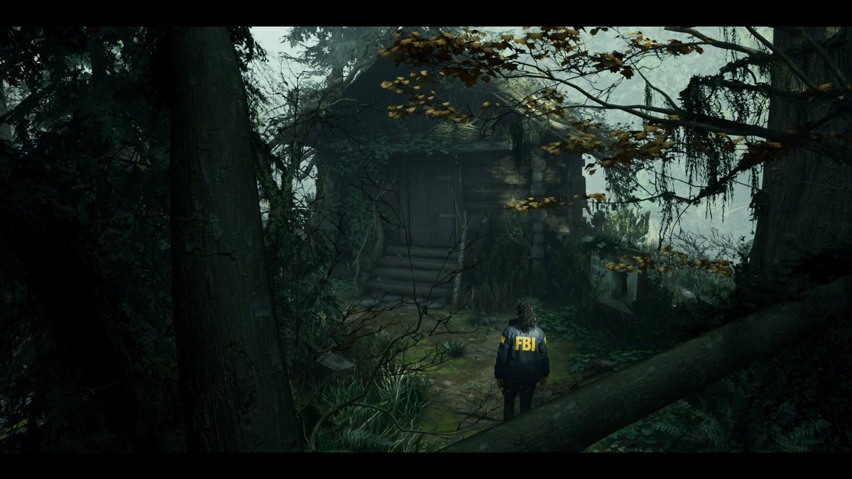 ABDOQX's tweet photo. Alan wake 2 ✨ https://t.co/v8jjrPCg2d