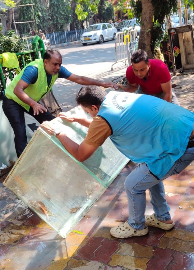 kmc_kolkata's tweet image. Pictures of the frontline workers of the Vector Control Team on duty across the city.

#VectorControlByKMC #KMConDuty
