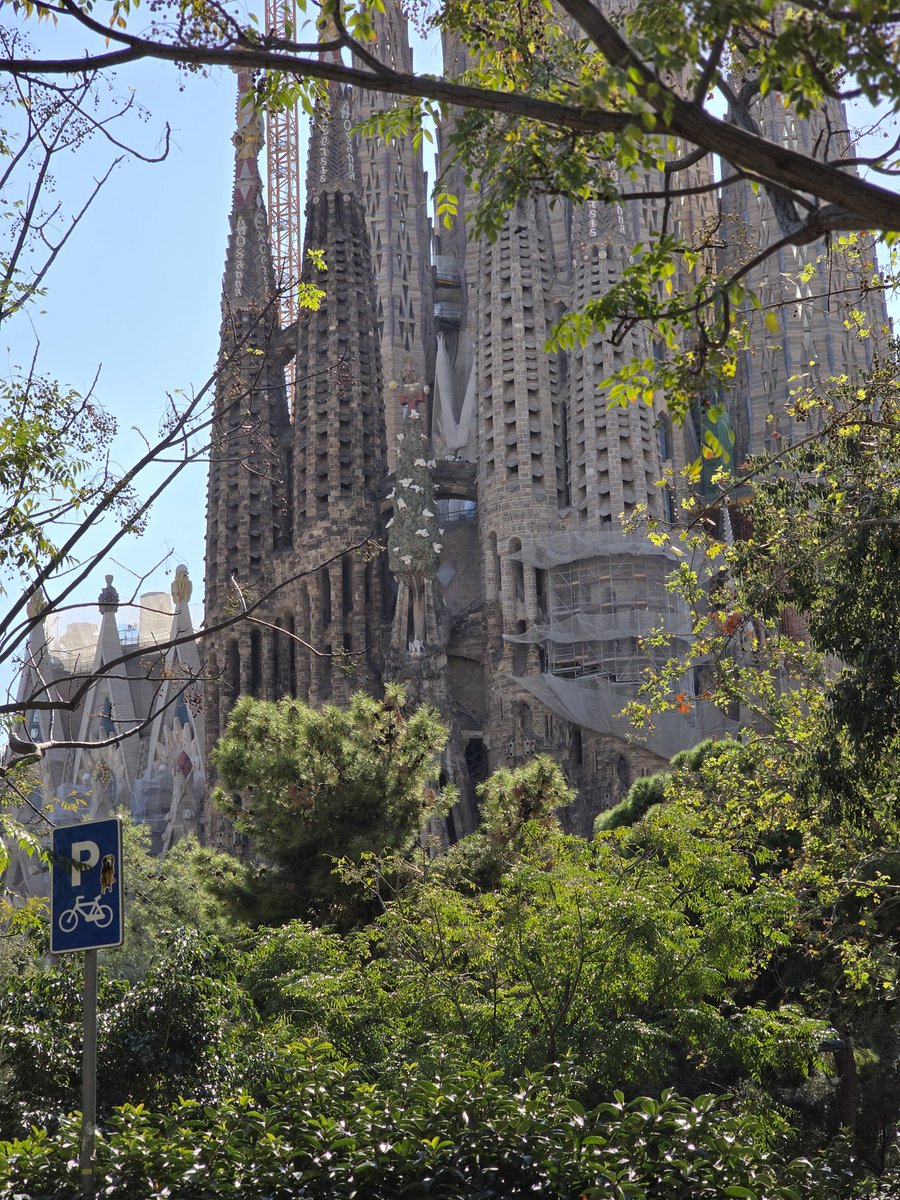 @andrew (@andrwdgm) on Twitter photo 