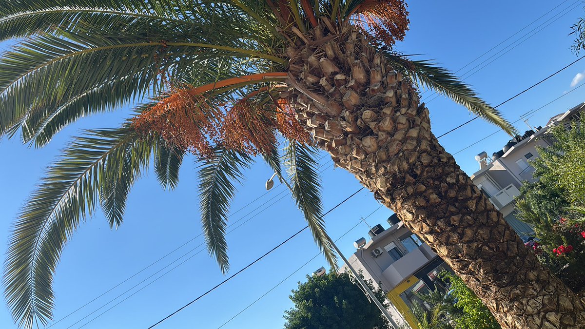 Whats Good X Gang❤️