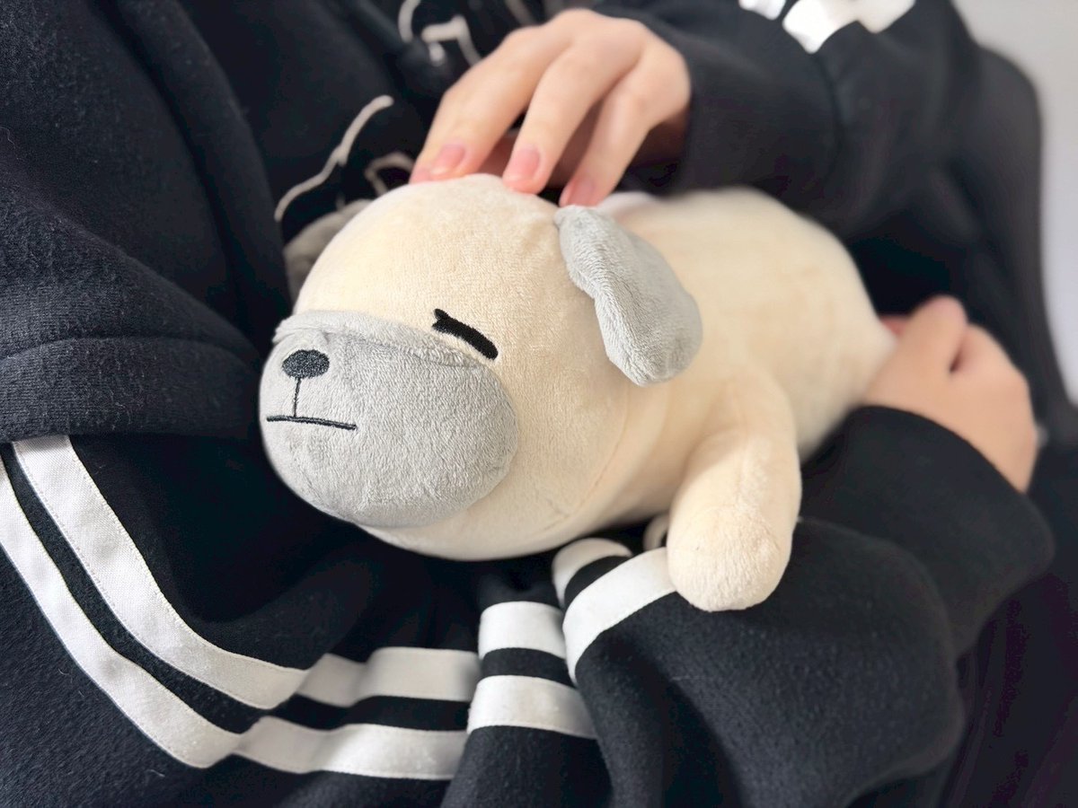 めーのふたつめのぬいぐるみが完成しました
日々の休憩の合間にプリンセスおじいさんを抱っこしてみませんか💤

#パグ犬めーのぬいぐるみ第2弾 