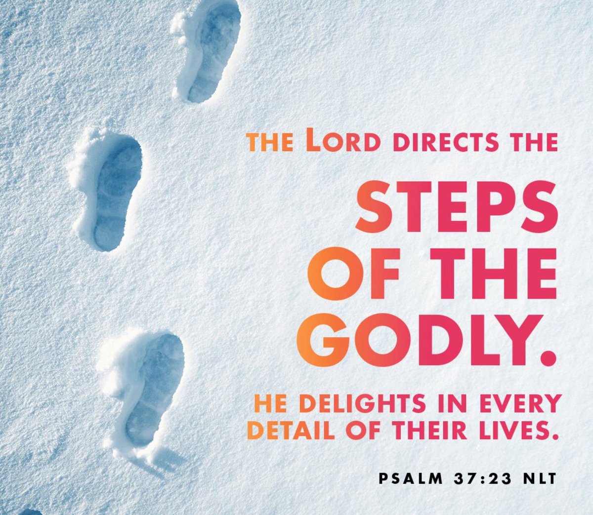 propertyLDN's tweet image. 