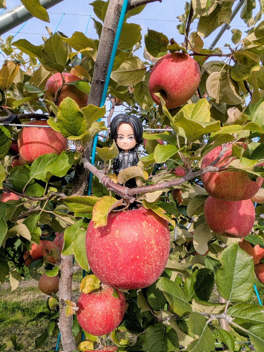 Number_i_フィギュア