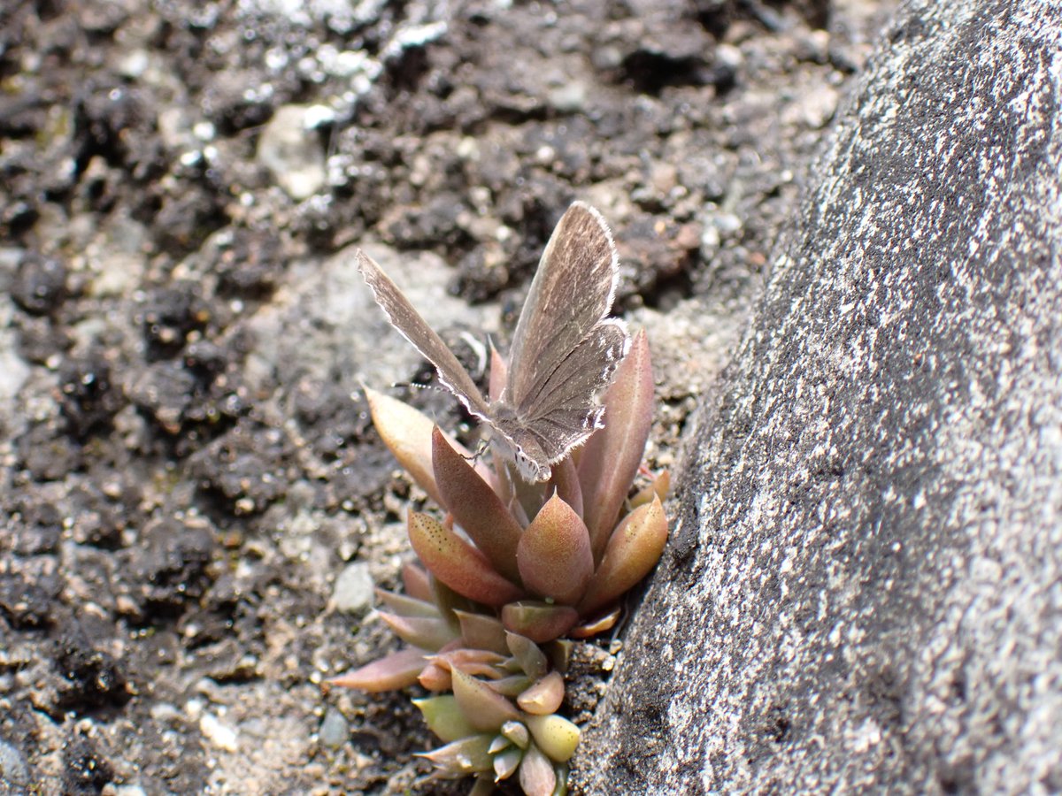 壱行 (@gnUUIiXD6792550) / Posts / X