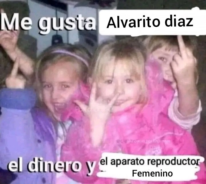 pizza_309's tweet image. Top 3 mejores cosas de este fucking world🙏