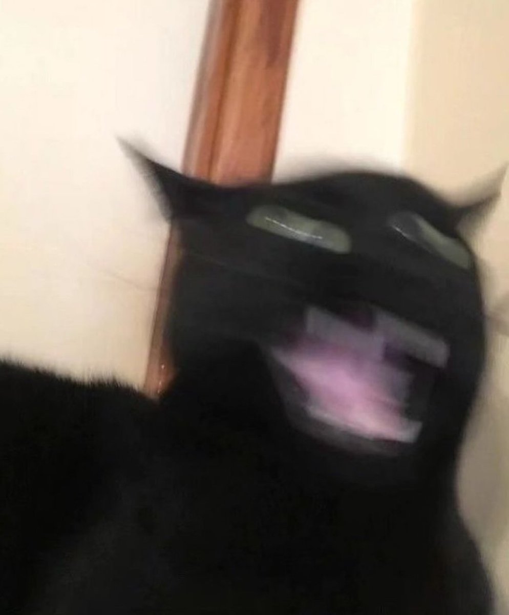 Sarah (@binkehlol) on Twitter photo 