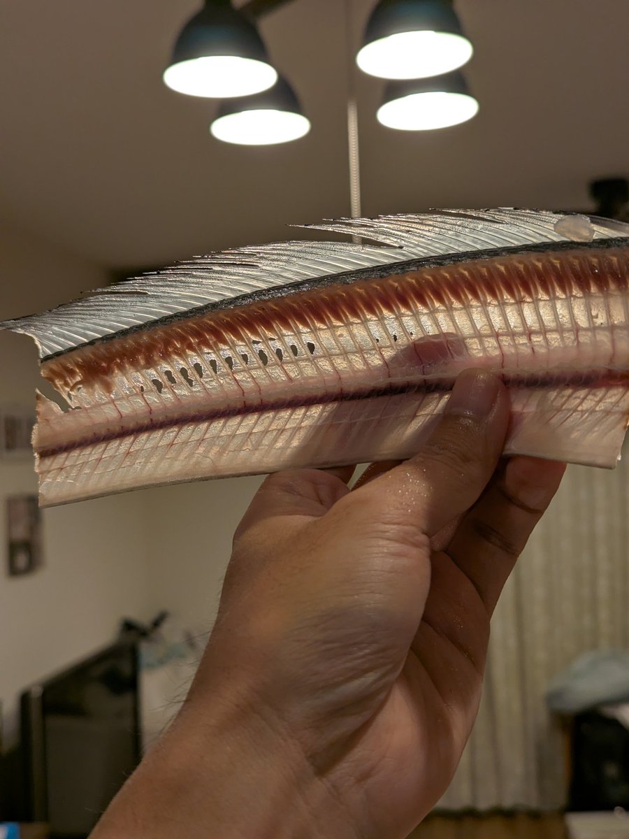 釣り好き先輩様の専用です 冒険したい釣り人。 on X