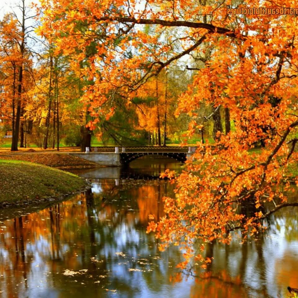 mine_dnesinti's tweet image. Ne güzel demişti Cemal Süreya &quot;Sonbahar sanattır diğerleri mevsim&quot;
#sonbahar 
#sanat #renkler #tablo 
#doğa