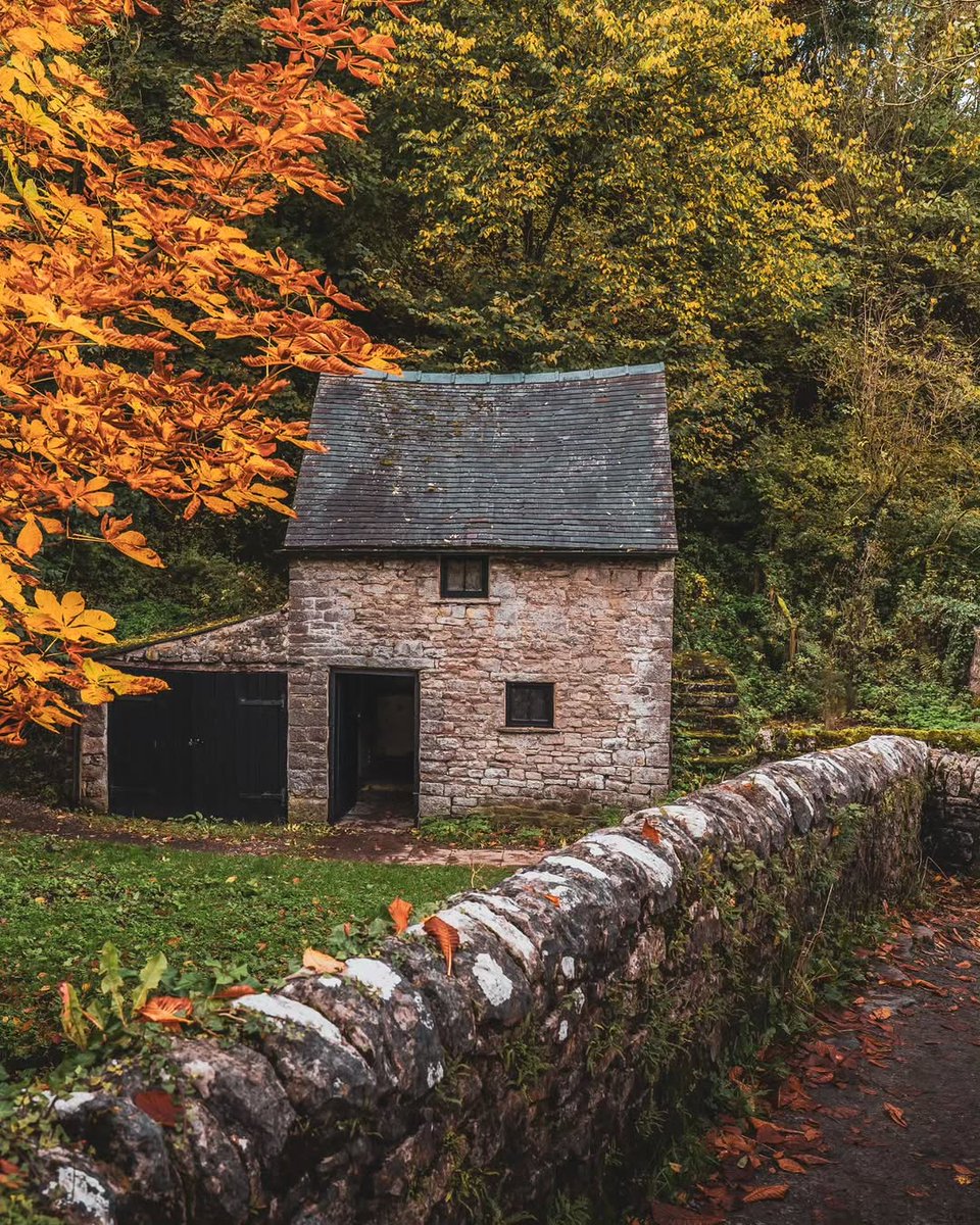 visualsofearth1's tweet image. Autumn colours in Milldale