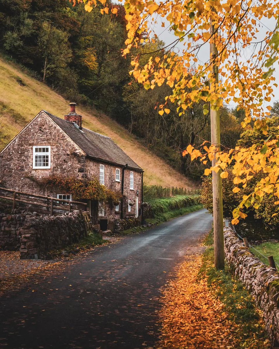 visualsofearth1's tweet image. Autumn colours in Milldale