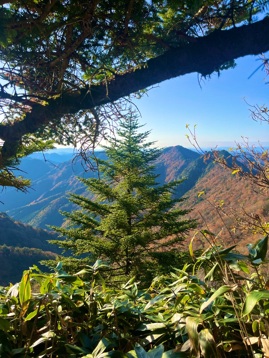 ishiduchitenba3 on X