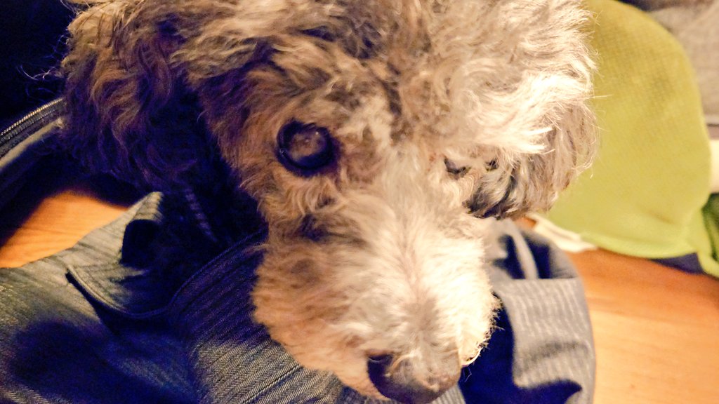 他諸事情で実家に〜
お姉さん、私の服を返してくださいな〜