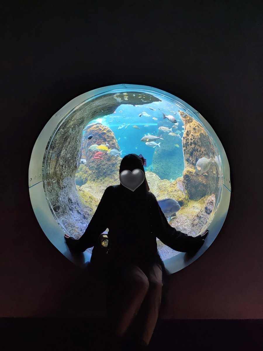 楽しかったです！