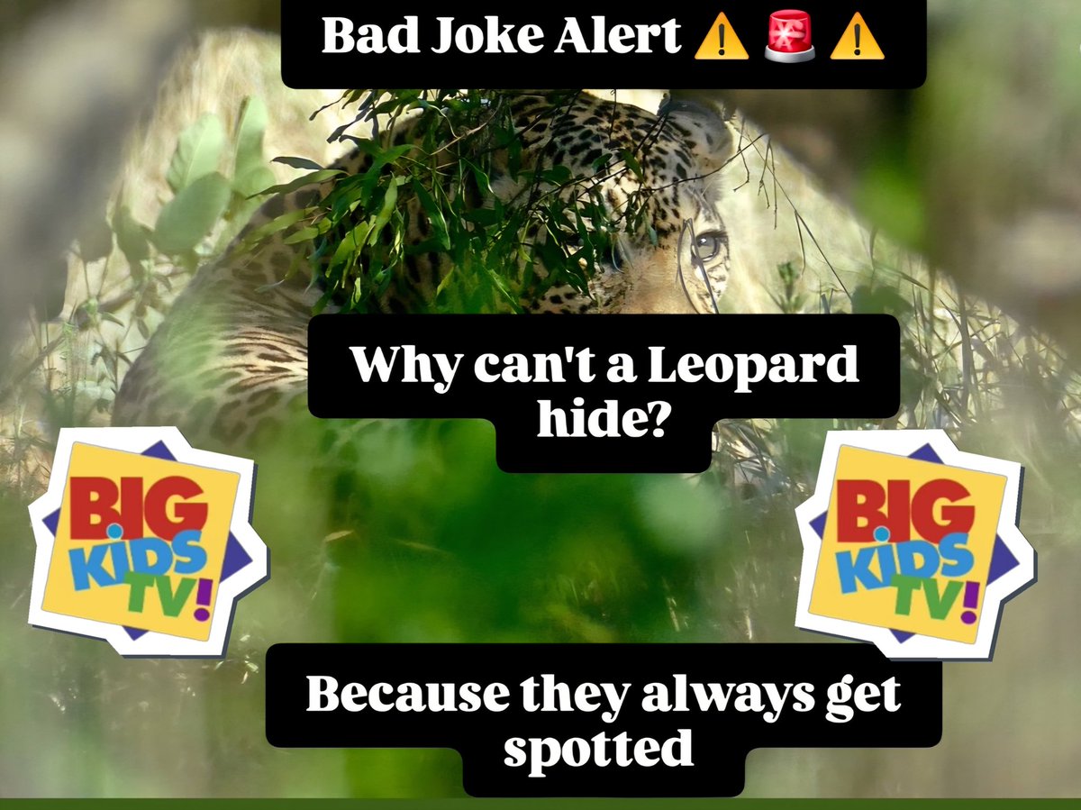 BigKidsTVPod's tweet image. Good morning everyone. Hope you are all keeping well. Here&apos;s a little light hearted Joke for you.
#Community #Makesomeonesmile #Bitoffun #BigKidsTVPod #BigKidsTVPodcast