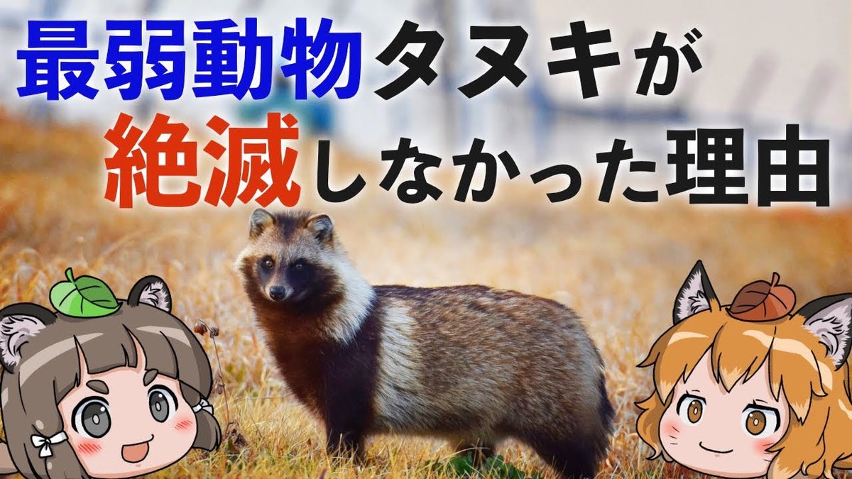ろう🦊🦝へんないきものチャンネル on X