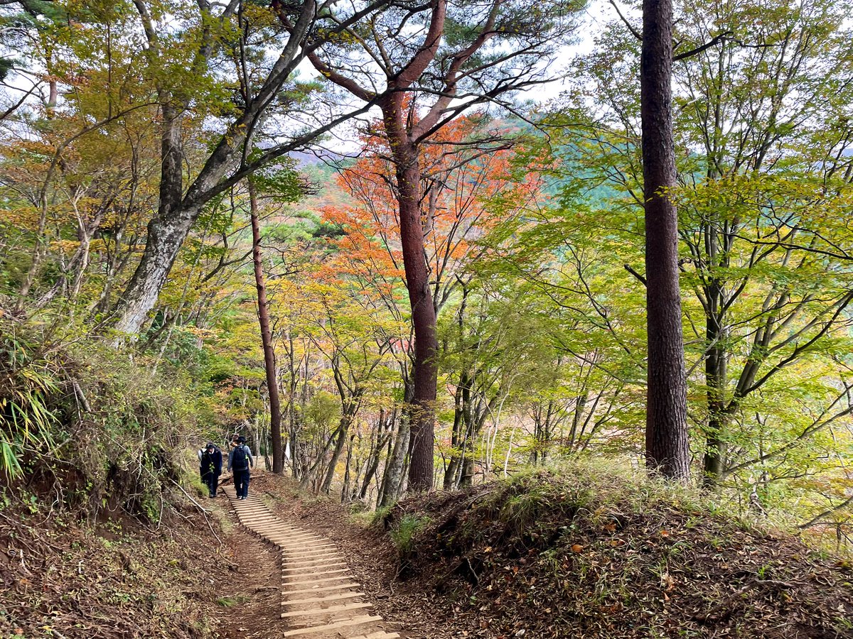 みゃーざきさん (@nobitaaaaai) / Posts / X