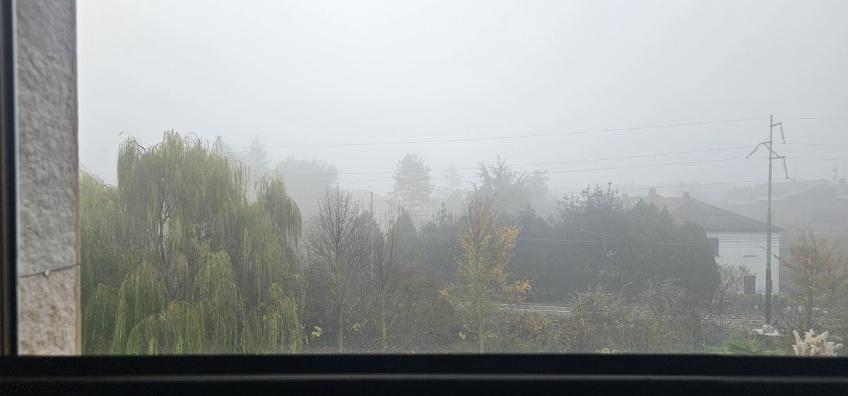 djanghuez ★ tweet media