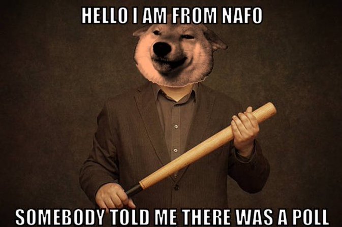 A poll Fellas, a poll 👇🫡