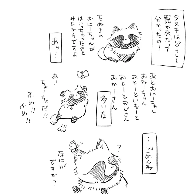 たぬき…… 