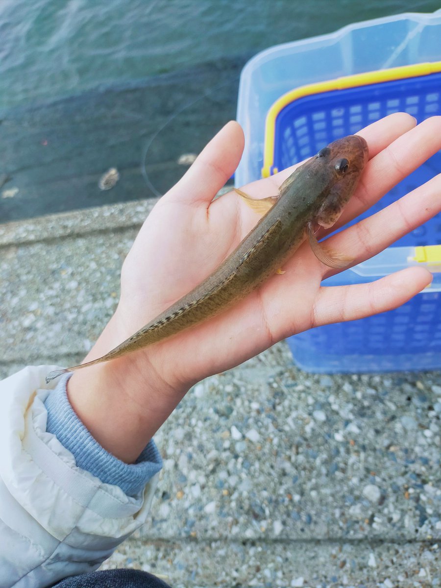 ひーちゃん絵日記 (@hi_PictureDiary) / Posts / X