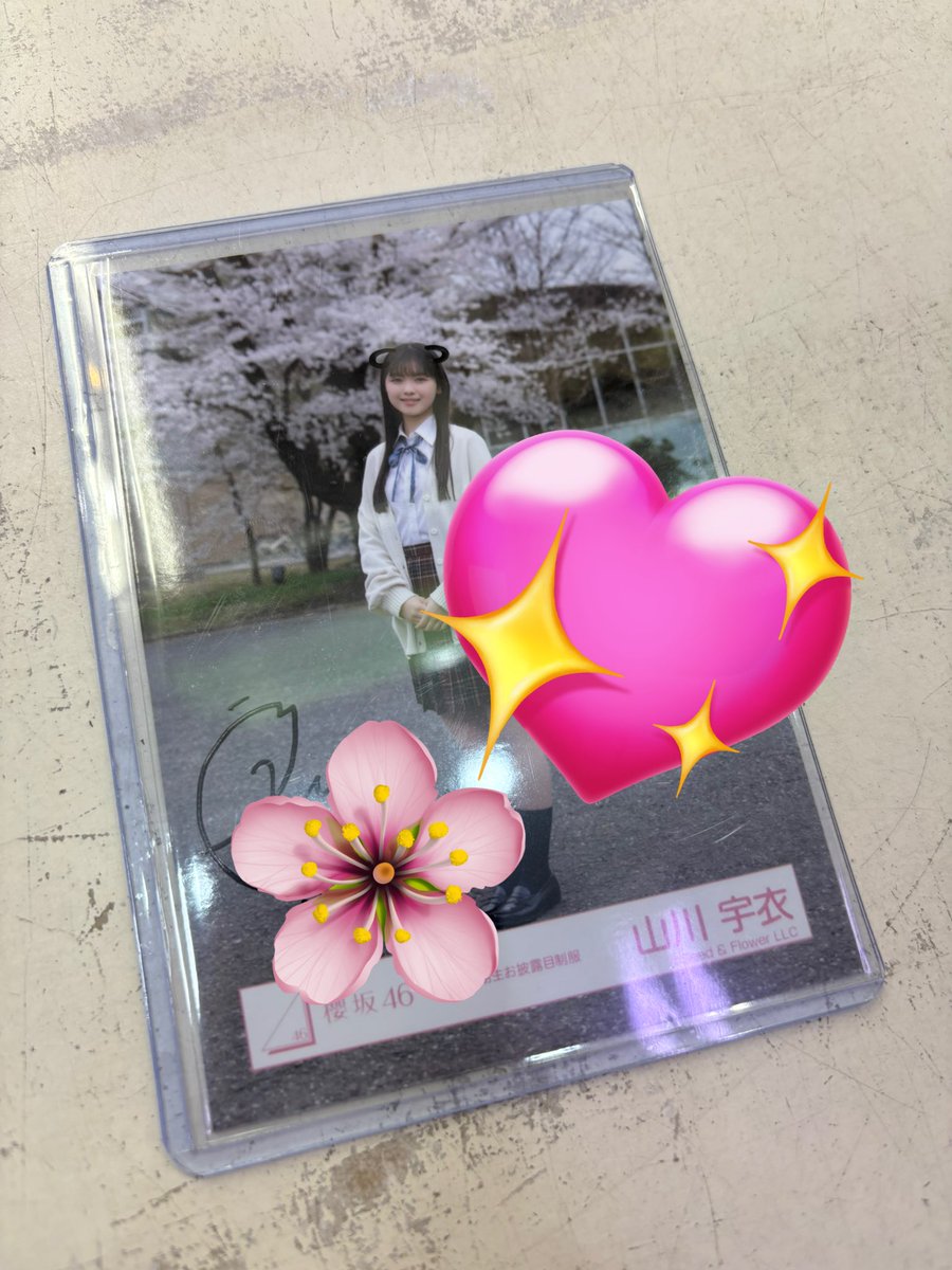 えんさん (@sakura173939) / Posts / X