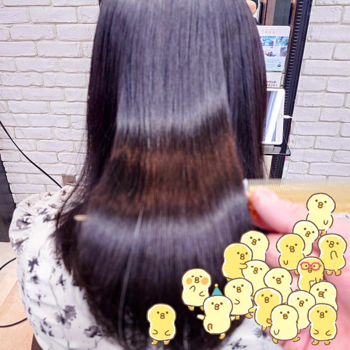 あや ¨̮ ▷11/16やさびと埼玉 (@a14___xo) / Posts / X