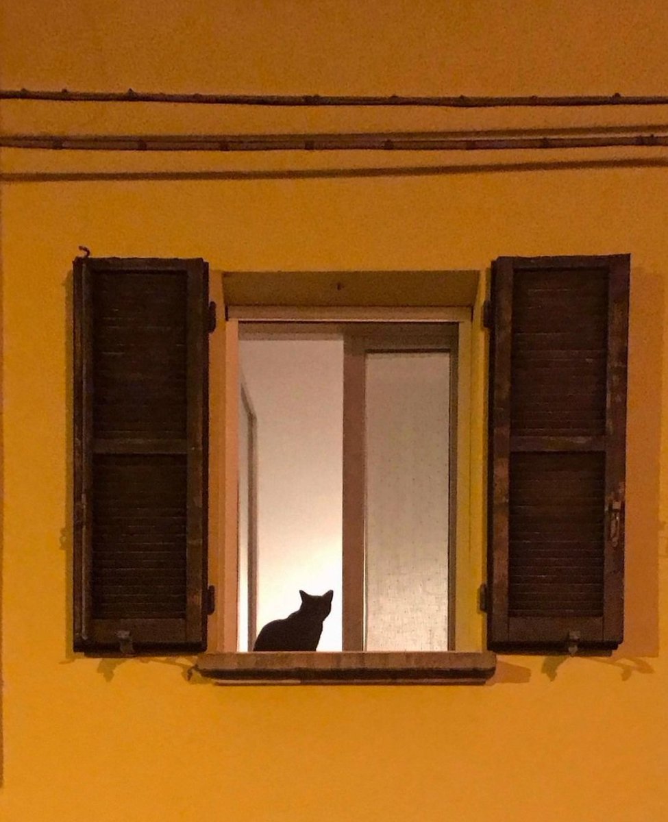 djanghuez ★ tweet media