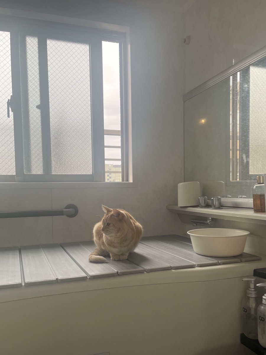 チバコ【motoGP】【ガゼ】【ピエラー】 on X チバコ【motoGP】【ガゼ】【ピエラー】 on X