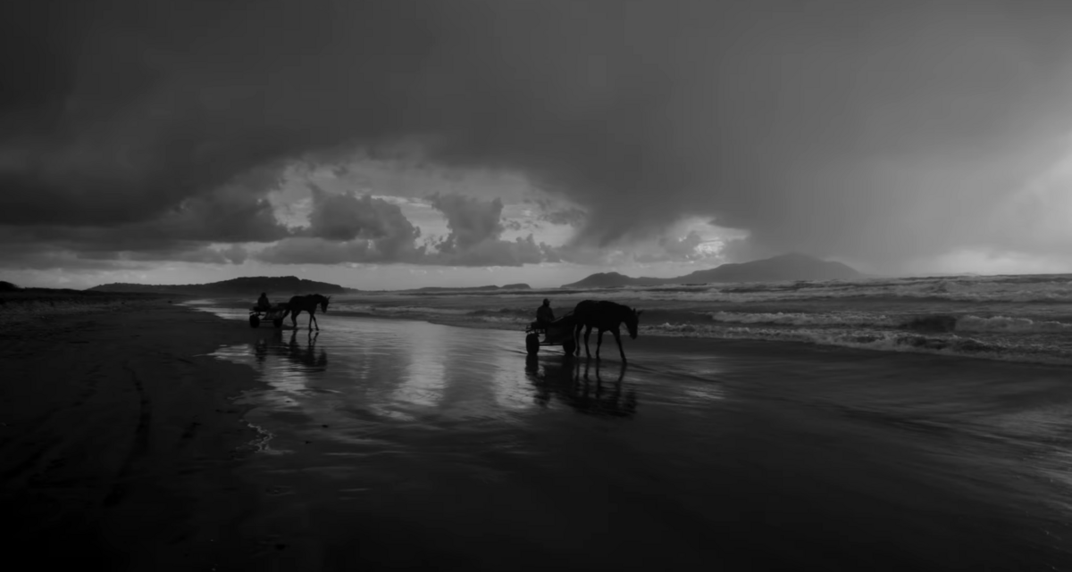 SG Organisation tweet media