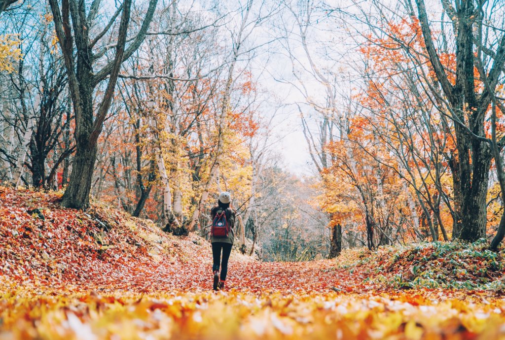 yuki (@sty_830) on Twitter photo 