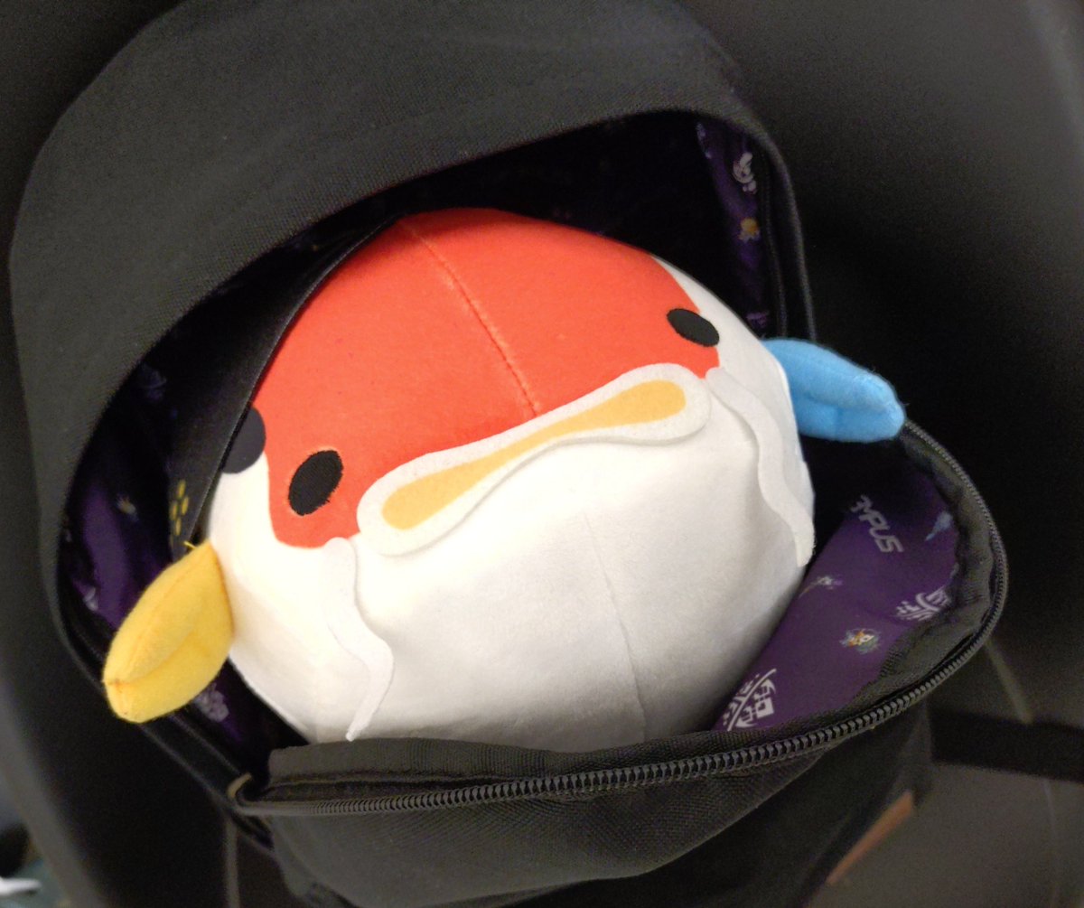 ueee
(this is how i bring puniko)