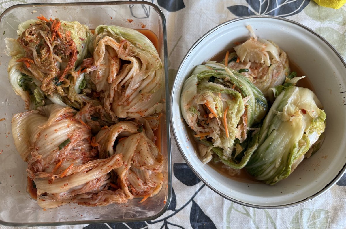 Я: обожаю кимчи, я с кимчи съем все что угодно
Мама: ни слова больше 👌

Мама приготовила и отправила мне 2 вида кимчи, острый и менее острый🥹 
я не заслуживаю свою маму😭