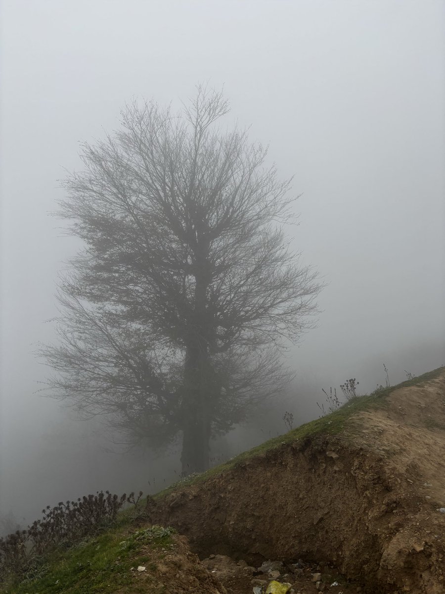 فاما tweet media